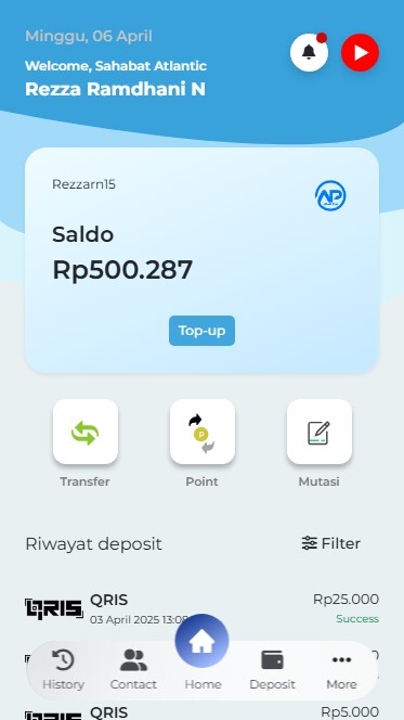 Member balance page